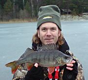 Största abborren hittills i Artjakten 2009