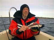 Stefan med knot på 125 g