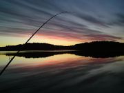 Vackra höstfärgeröver Strömsvattnet