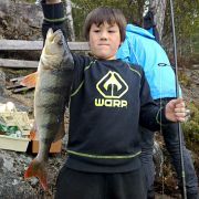Elias tog mega-abborre i Brämstjärn - 1.5 kg!!!