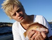 Erik med rödnäbba