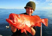 Större kungsfisk på 4.8 kg