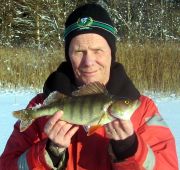 Största pimpelabborren i år - 619 g
