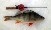 540 g