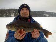 Stefan Tingelholm - 840 g