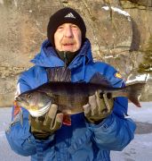 Stefan Tingelholm - 850 g