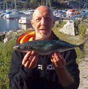 Personligt rekord för Stefan med makrill på 1080 g