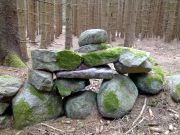 Stenröse